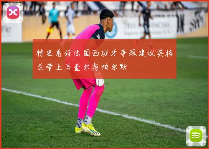 特里看好法国西班牙争冠建议英格兰带上马奎尔与帕尔默